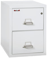 1 Hour Fire Resistant File Cabinet - 2 Drawer Legal 31" depth | Position 1